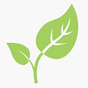 Environment Frocused