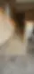 1775265595026-346-1157.webp