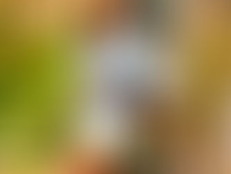 Summer Collection at T’s Closet