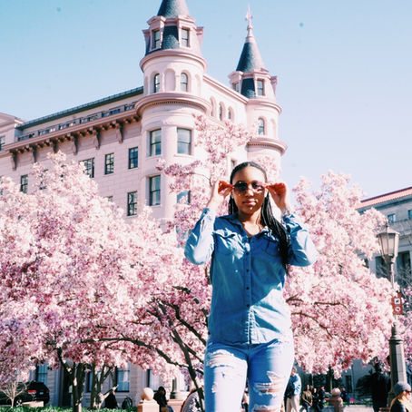 DC, Pics & Cherry Blossoms