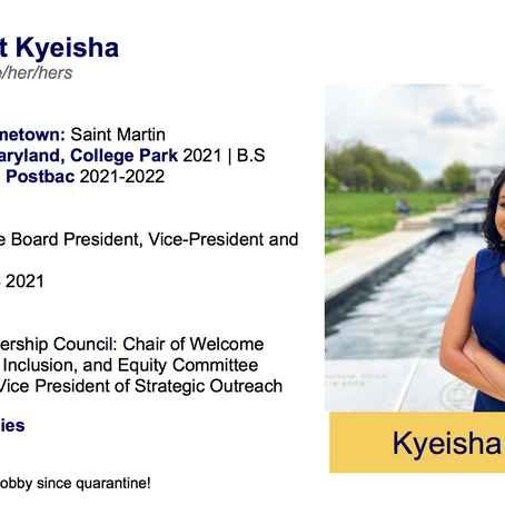 I'm a SNMA National Leadership Fellow!