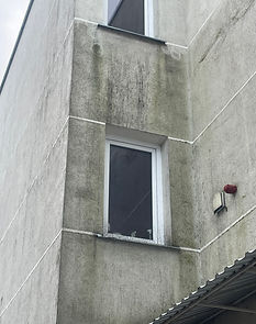 IMG_6055.jpeg