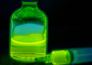 DSC_3166 (Large).jpg