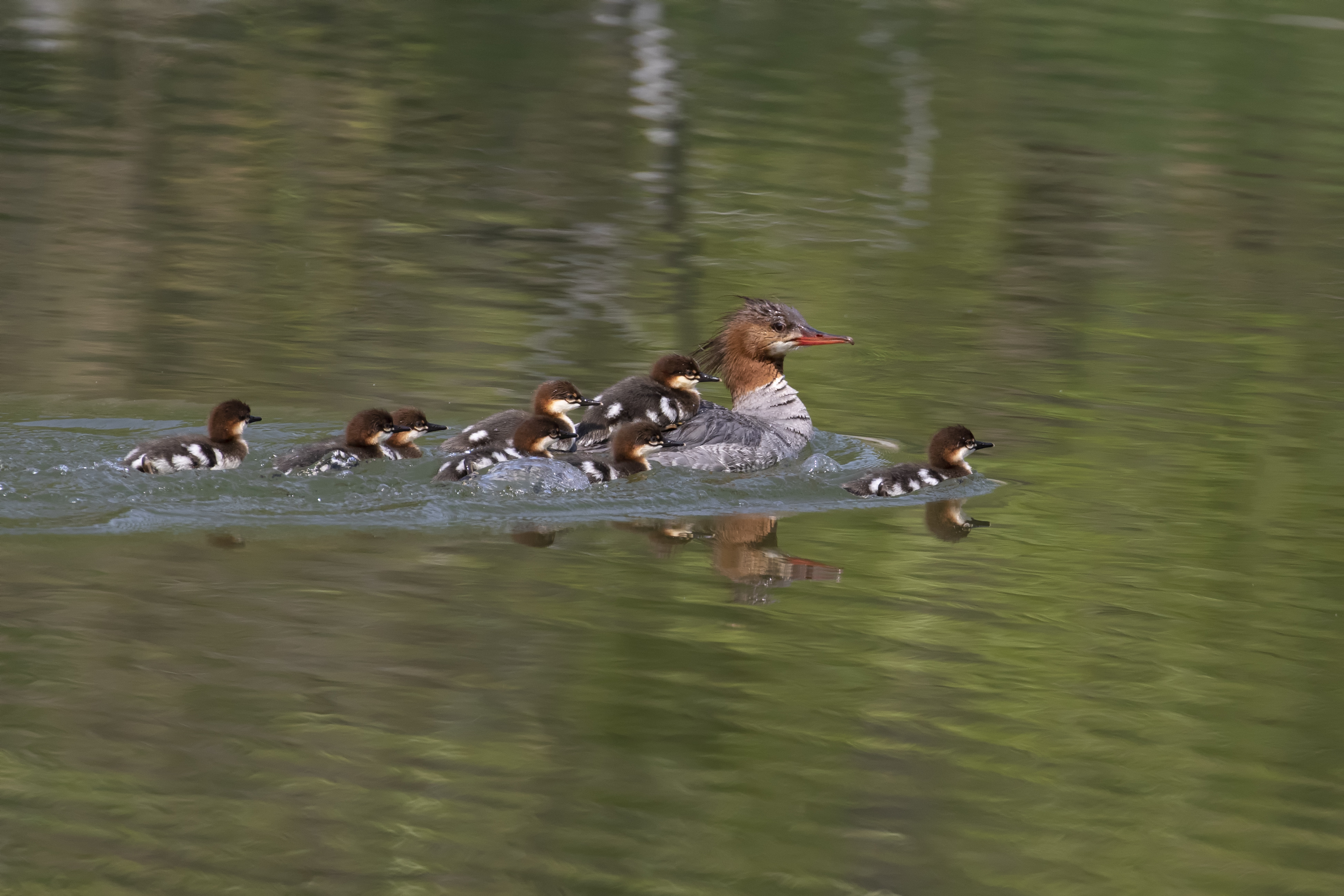 Hitching a ride