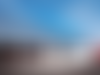 Choosing the Right Warehouse for Pallet Racks: A Comprehensive Guide