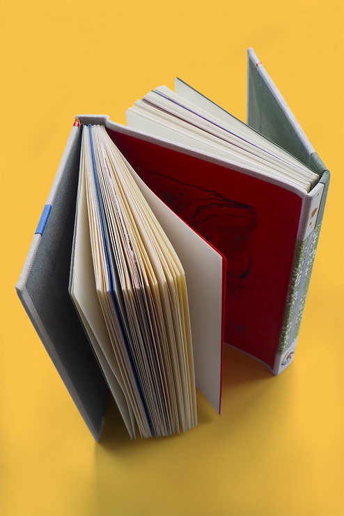 Zig Zag Book, Ian 24