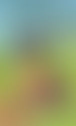 La literatura infantil y juvenil en Puerto Rico