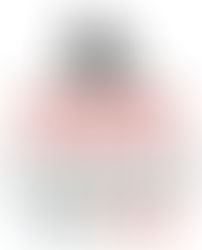 Fiesta de la literatura en Caguas