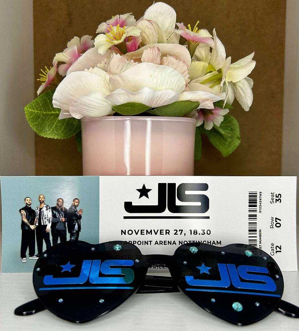 JLS Custom Concert ticket (mock) and Concert glasse