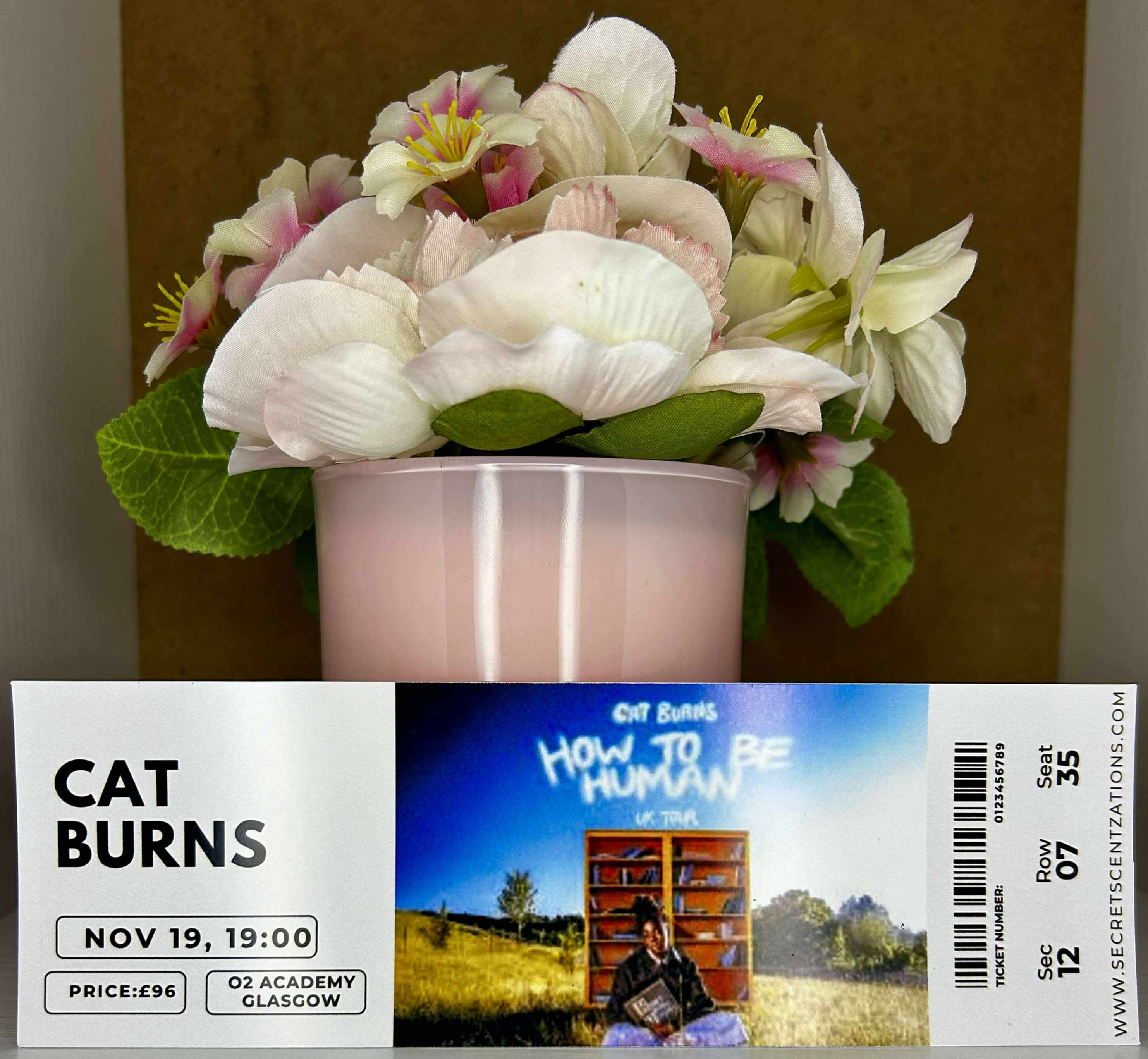 Cat Burns Personalised Mock Concert Ticket any Artist