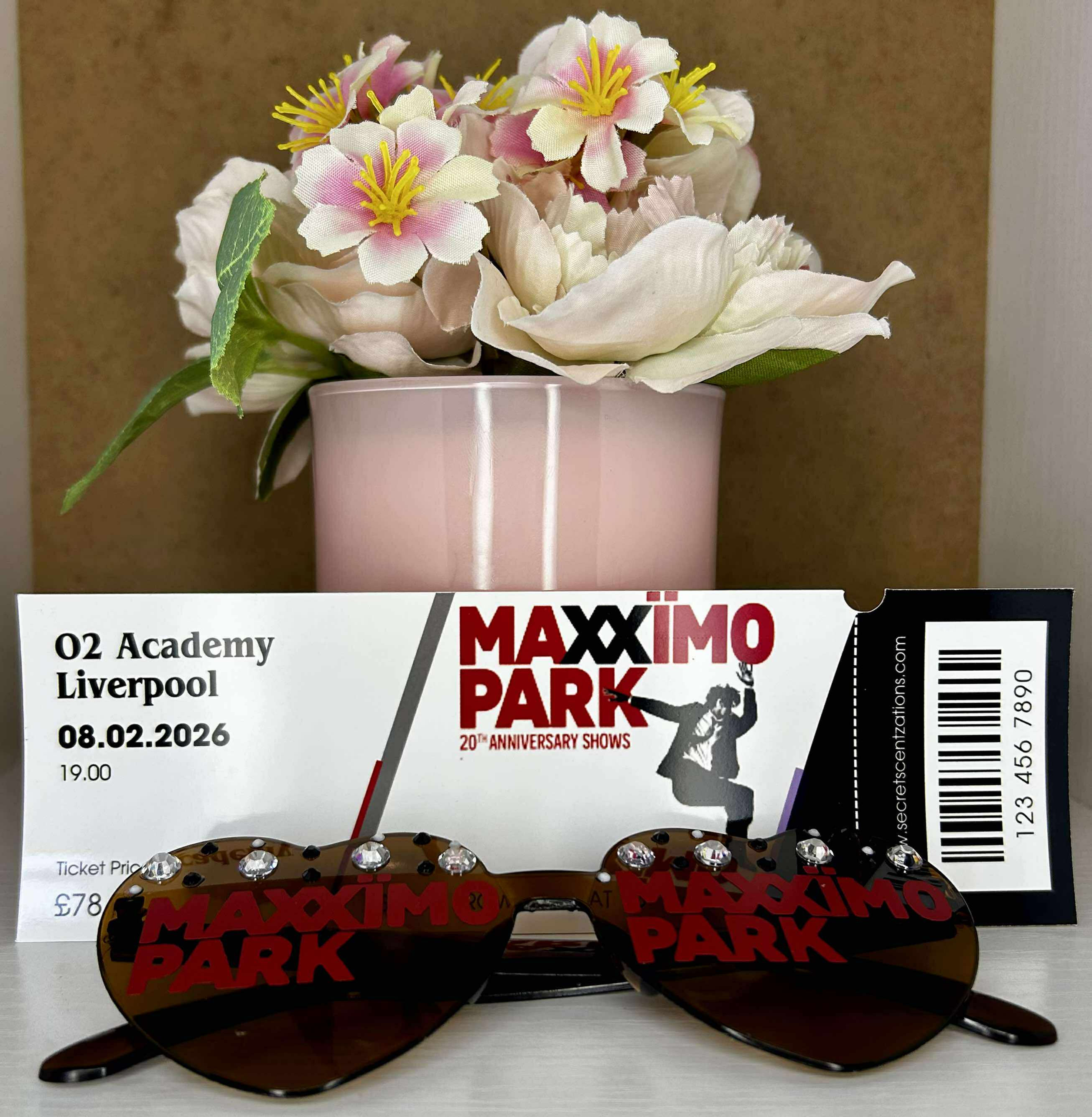 Maxximo Park Custom Concert ticket (mock) and Concert glasses