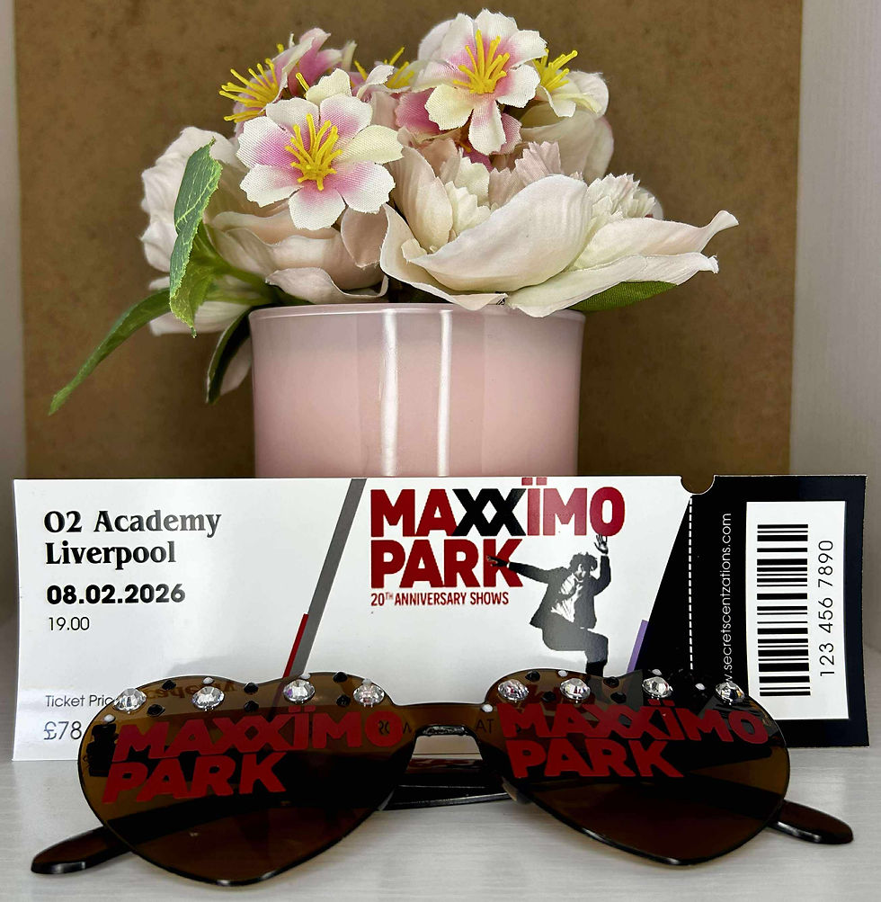 Maxximo Park Custom Concert ticket (mock) and Concert glasses