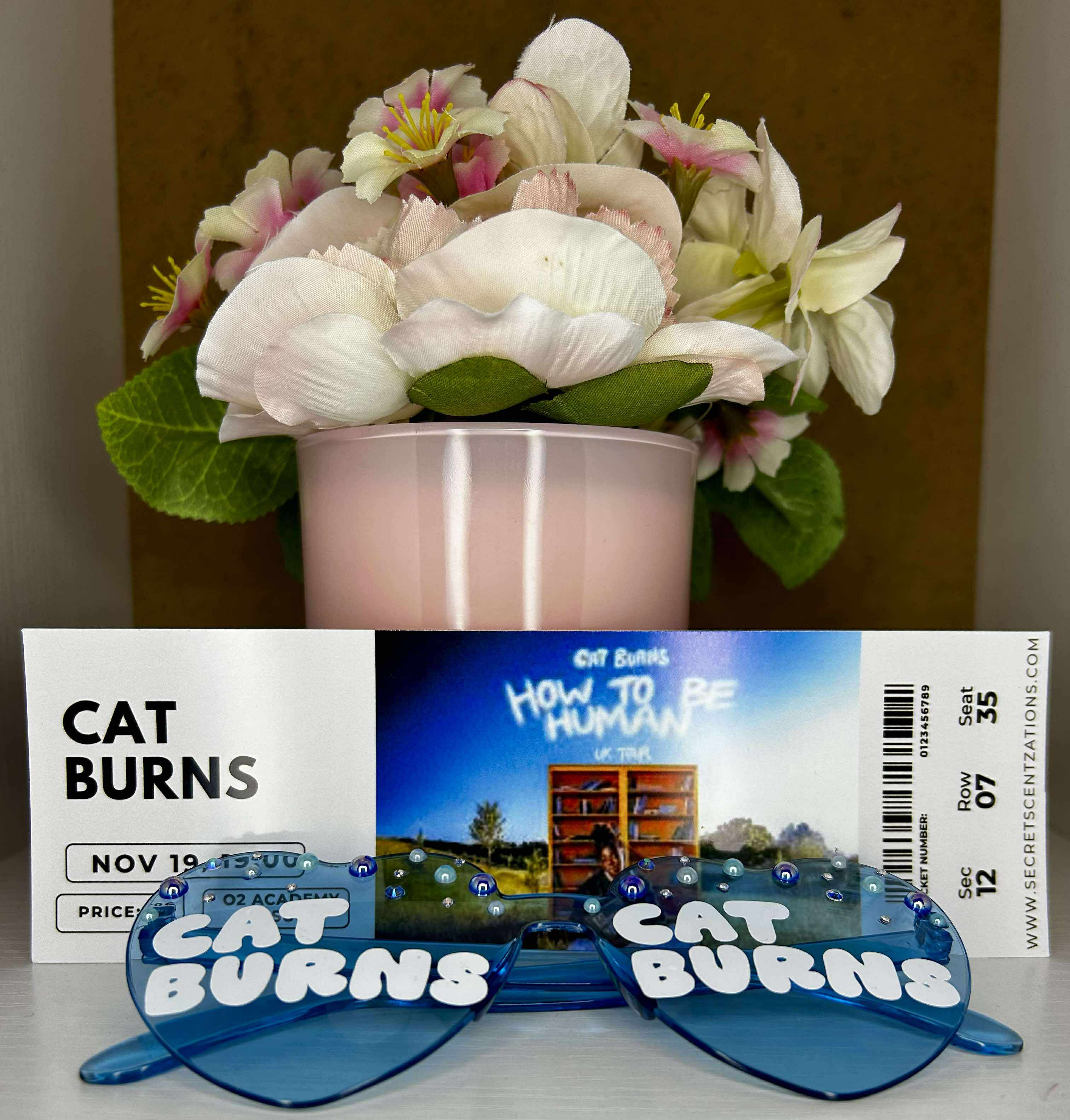 Cat Burns Custom Concert ticket (mock) and Concert glasse
