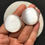 縮圖：Selenite Cabochon 2 Piece Size 31-30 MM Approx