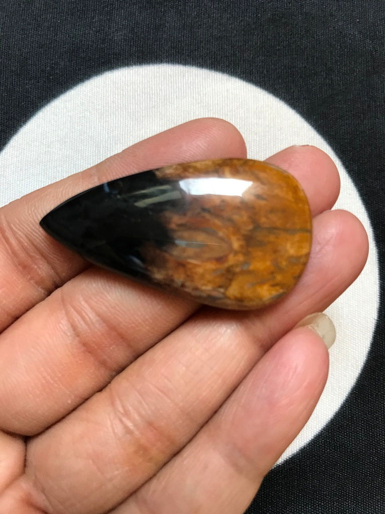 Miniature : Palm Wood Jasper Cabochon 1 Piece Size 43 MM Approx