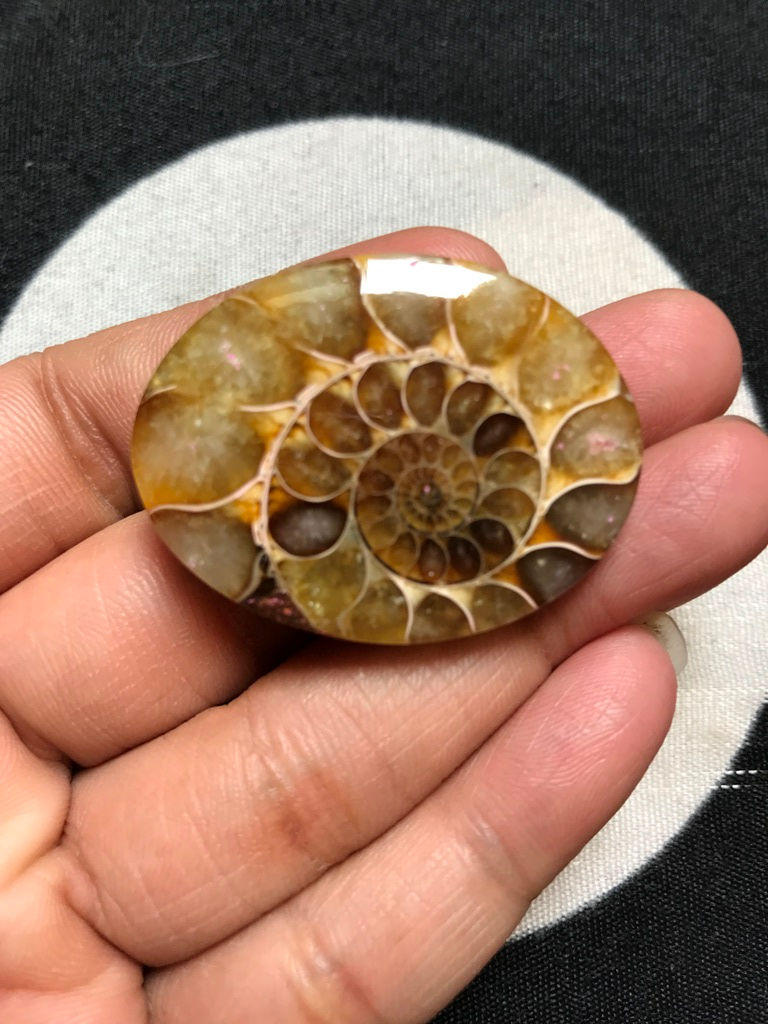 Миниатюра: Gemstone Cabochons 1 Piece Size 39 MM Approx