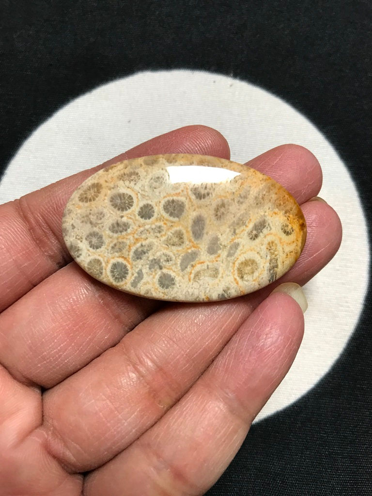 Миниатюра: Gemstone Cabochons 1 Piece Size 44 MM Approx