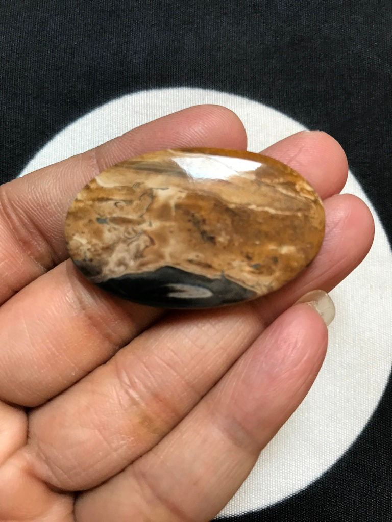 Miniature : Palm Wood Jasper Cabochon 1 Piece Size 40 MM Approx