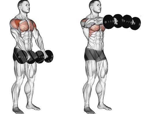 Elevação_frontal_com_halter.jpg