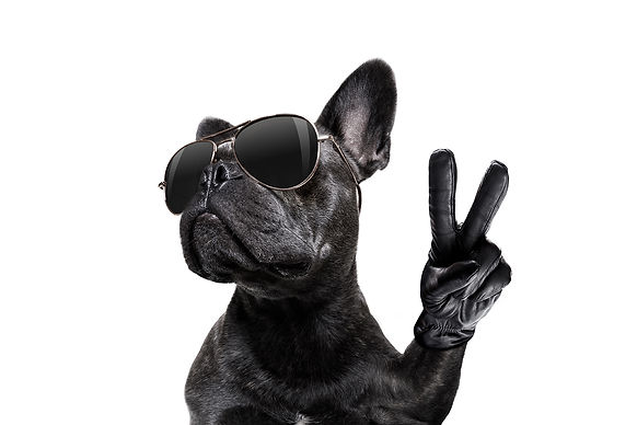 shutterstock_722321596_EDIT.jpg