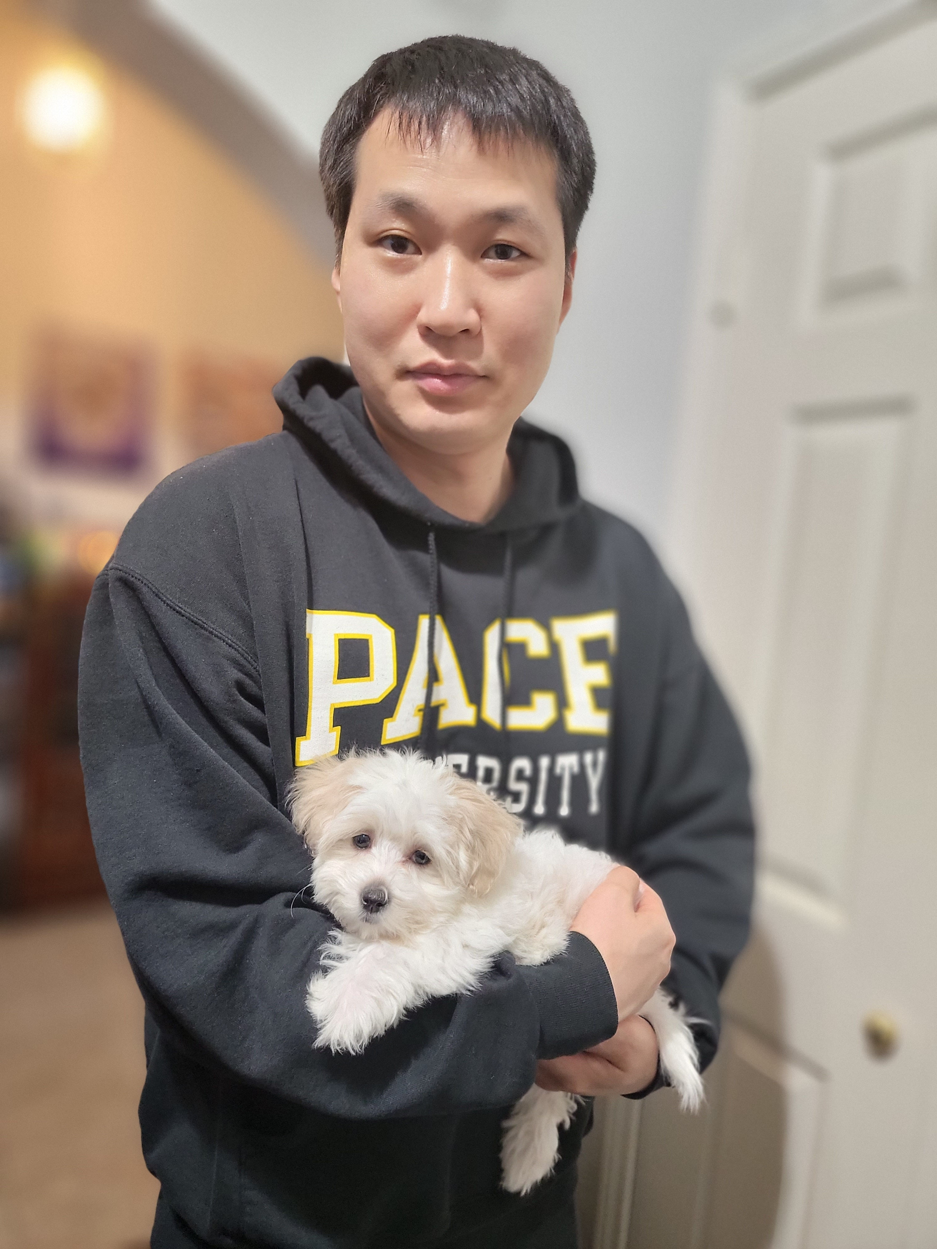 Sweetie-Maltipoo F1b (1360)