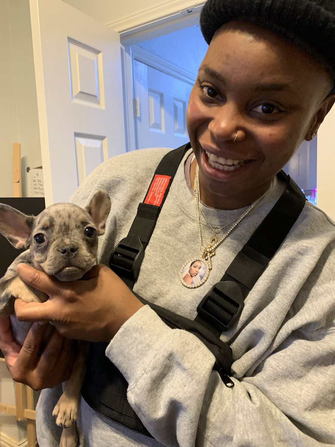 Benji -French Bulldog (1231)