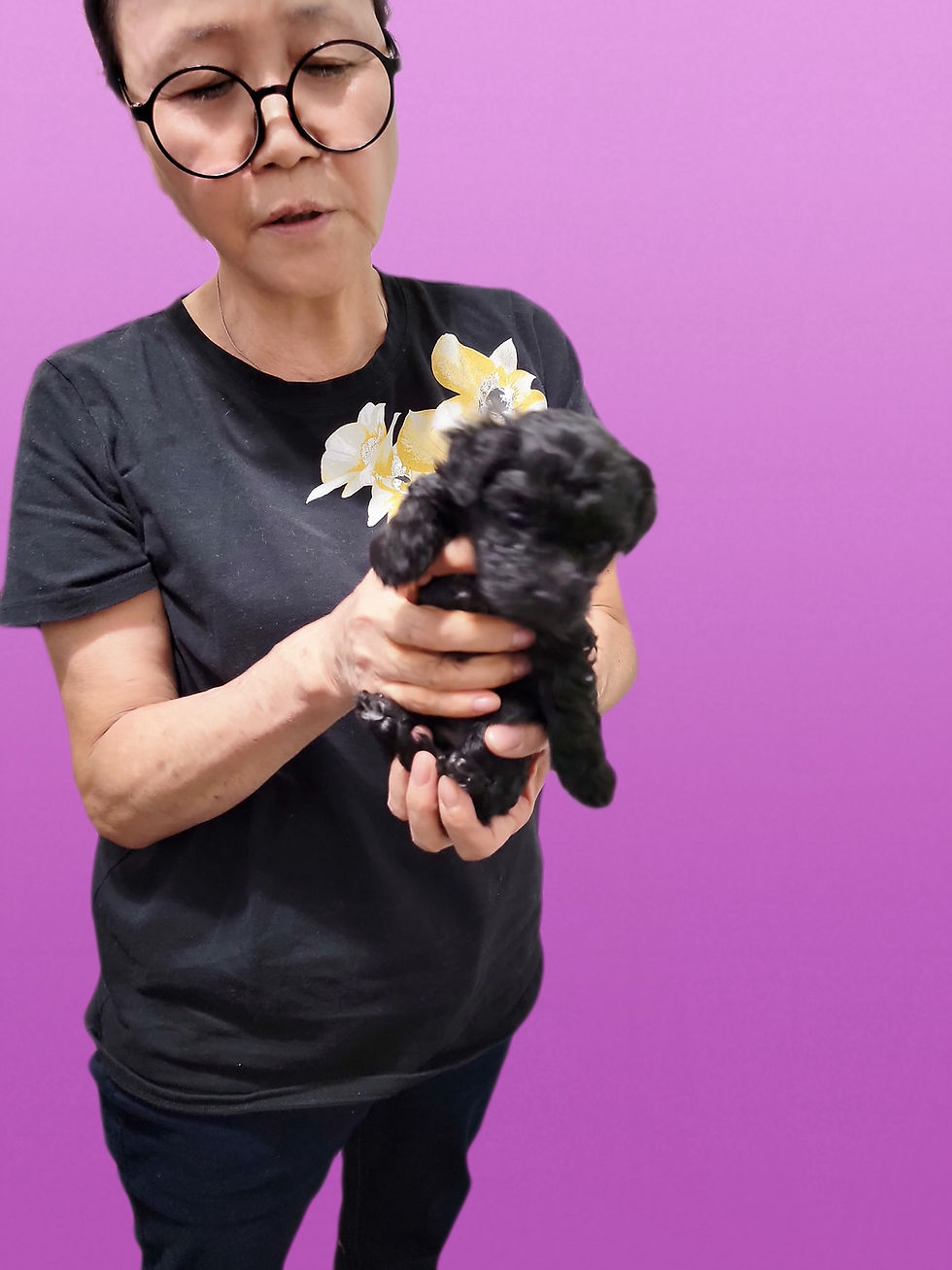 Thumbnail: Violet -Maltipoo F1b (1364)