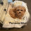 Thumbnail: Sarah-Maltipoo (1191)