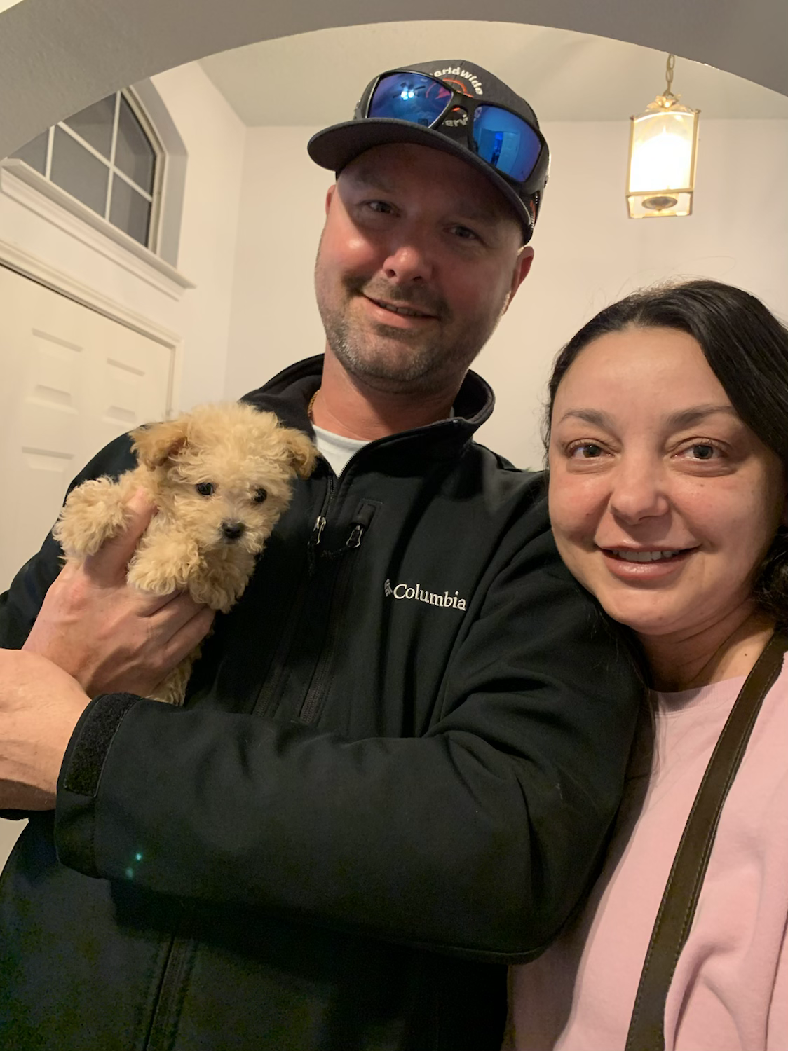Love-Maltipoo (1144)