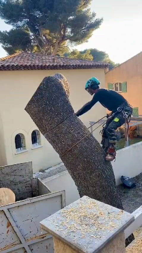 Abattage d'arbre dangereux en Provence : démontage sectionné, cordage et urgence tempête