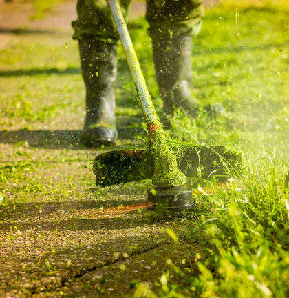 Entretien jardin à Miramas. Entretien professionnel de vos jardins