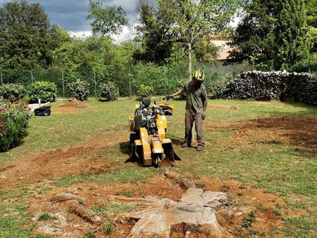 Rognage de souche en accès difficile : jardin clos, pente et passage étroit