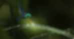 d6f8b8_5178cf4d4ed74390a8fd70a4f21d69d8_mv2.jpg