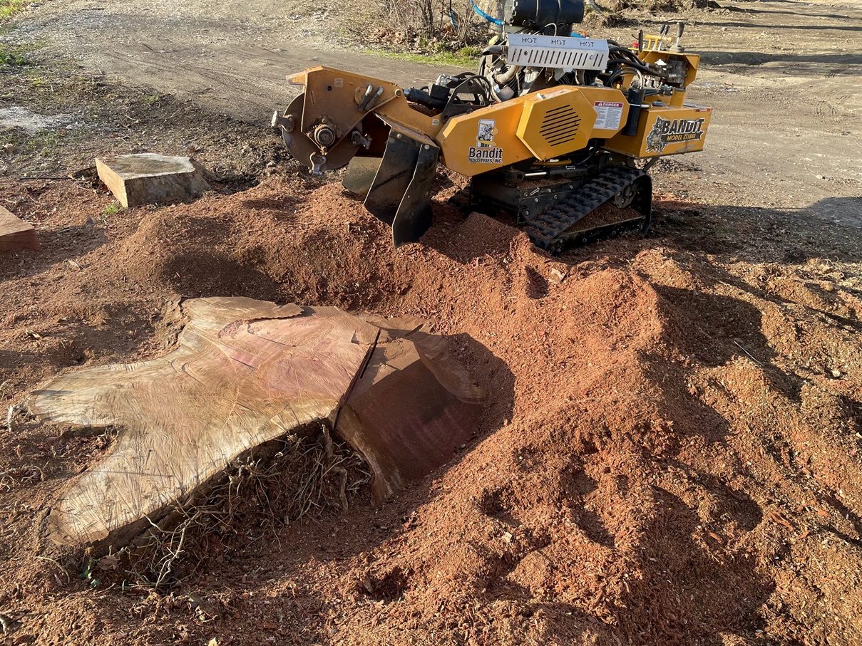 Dessouchage et aménagement de terrain : préparer un chantier propre en Provence