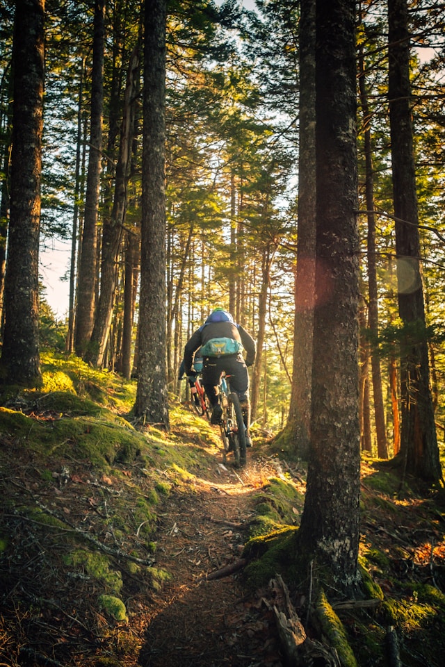 Préparation mentale en VTT : gérer le stress de course, lire la trajectoire et garder le focus en compétition
