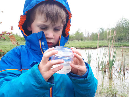 Will Carbon Action Plans encourage more biodiversity and outdoor learning in schools?