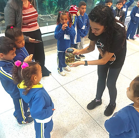 WhatsApp Image 2025-05-19 at 08.21_edited.jpg