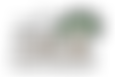 Solid Roots Produce Essential Leaves