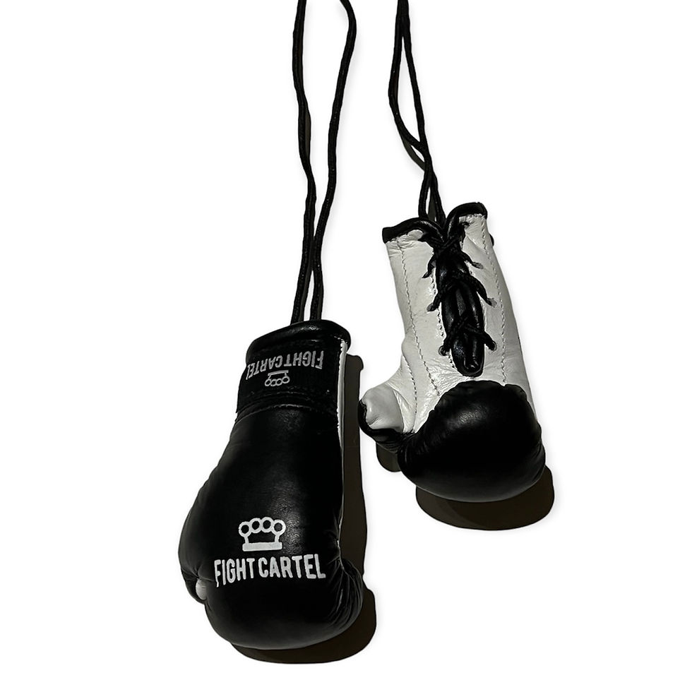 Thumbnail: Hanging mini boxing gloves