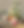 europeana-00SzLJ6yQOk-unsplash.jpg