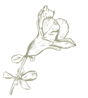 flor granada.png