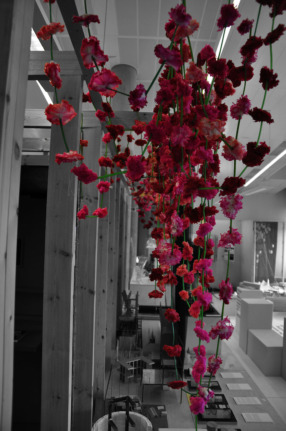 Decoration