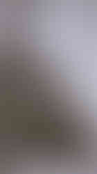 Alexander Theodor von Middendorff