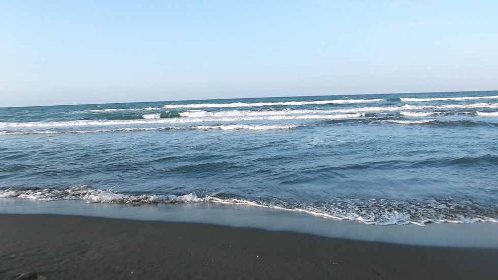 DSCF0444