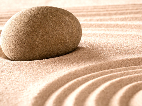 Rock in Sand_edited_edited_edited.jpg