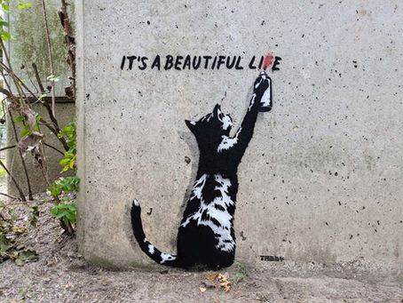 Its A Beautiful LI(f)E