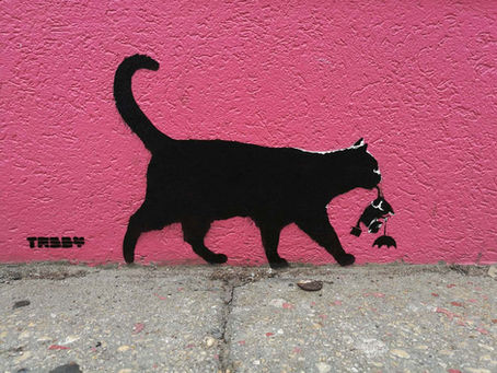 TABBY Cat vs Banksy Umbrella Rat
