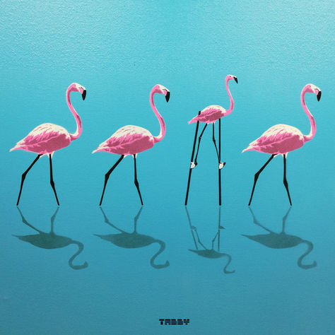 Flamingo – Rise Above