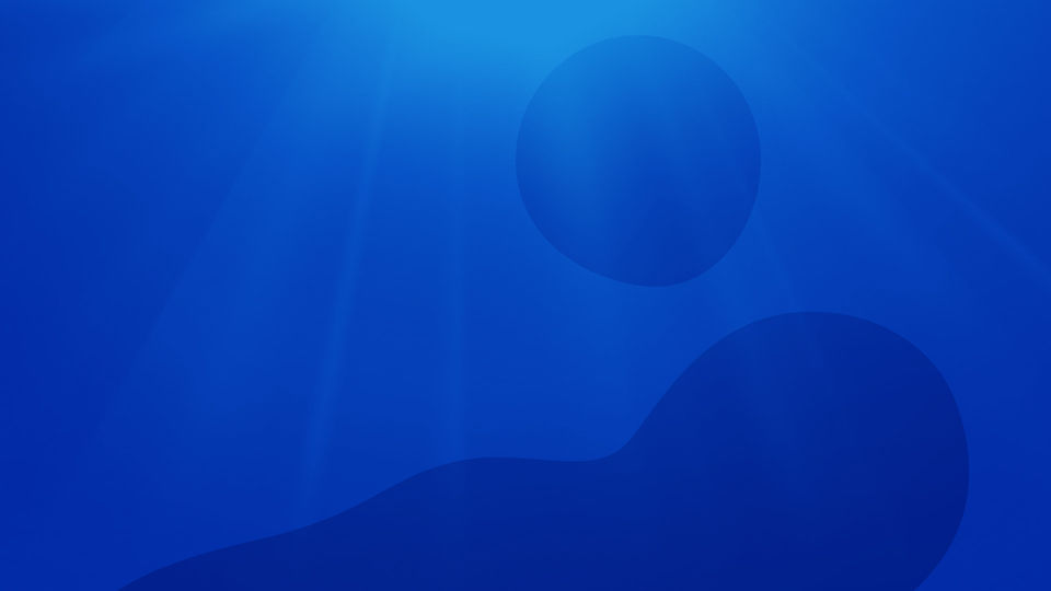 Liquid