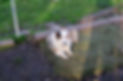 IMG_5972.jpeg
